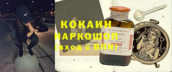 ешки Алексин