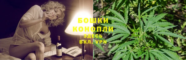 ешки Алексин