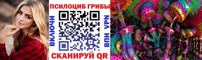 Псилоцибиновые грибы мицелий  Циолковский 